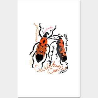 Cocklebur Weevil Posters and Art